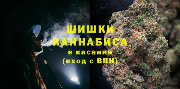 твердый Гвардейск